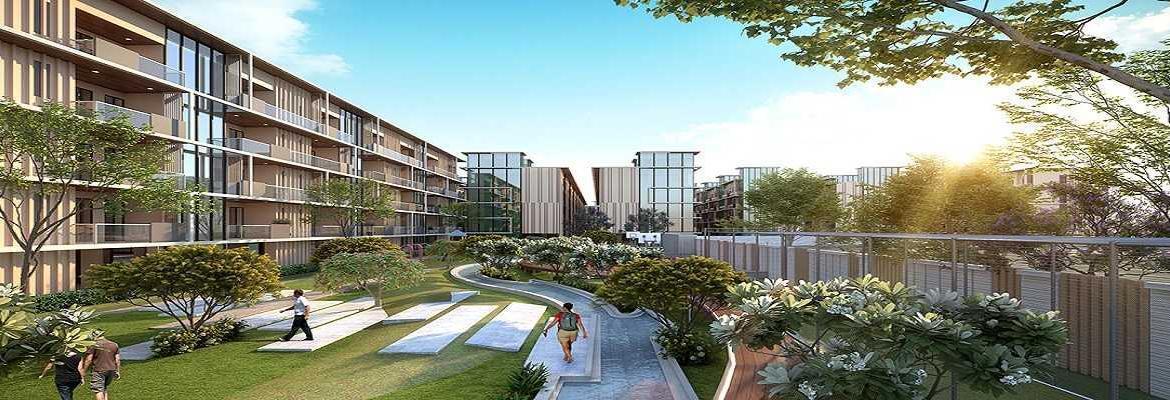 Signature-global-city-Forest-Spine