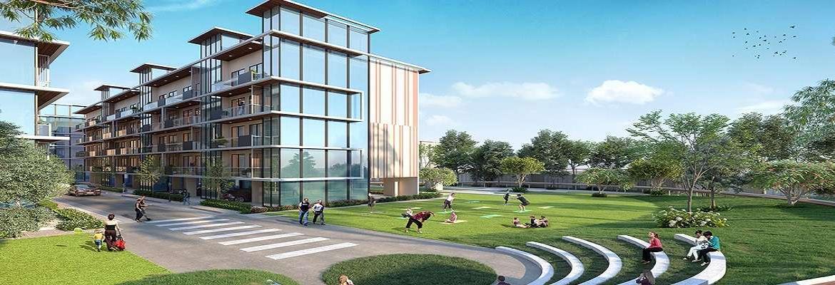 Signature-global-city-sector-79B