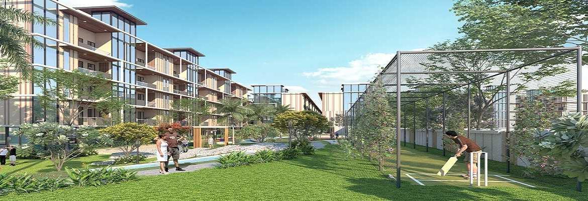 Signature-global-city-sector-79B-gurgaon-Cricket-pitch